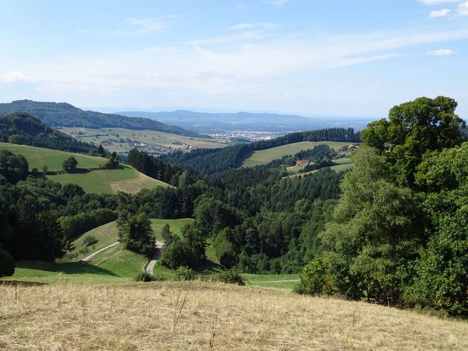 Katzentalweg Horben: Katzental