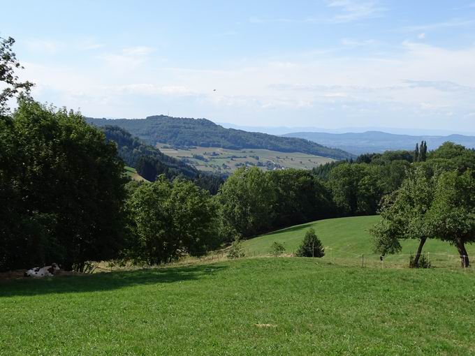 Katzentalweg Horben: Schnberg