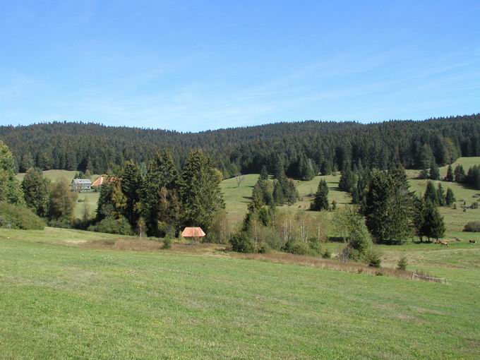 Lindau bei Ibach im Hotzenwald