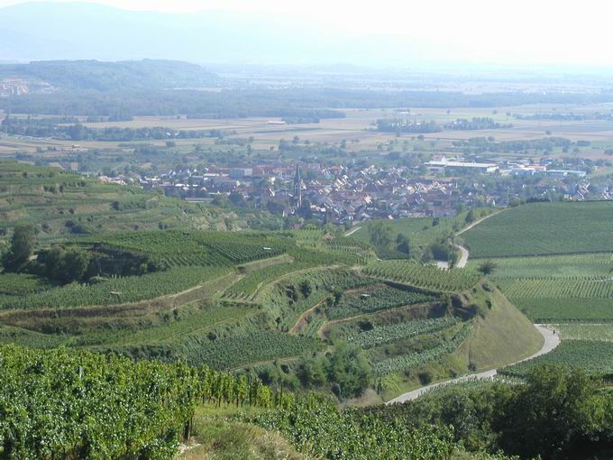 Kaiserstuhl