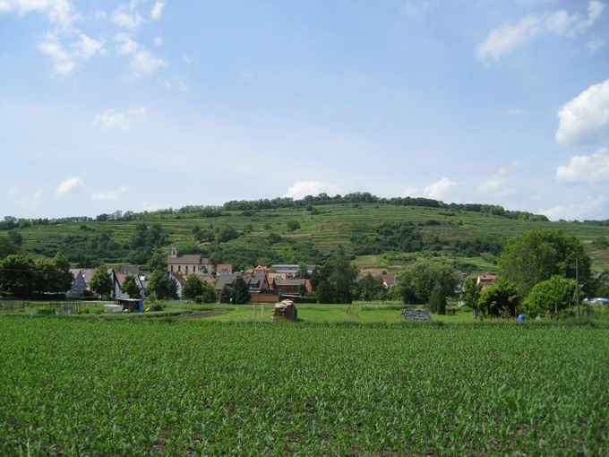 Bselberg (340m)