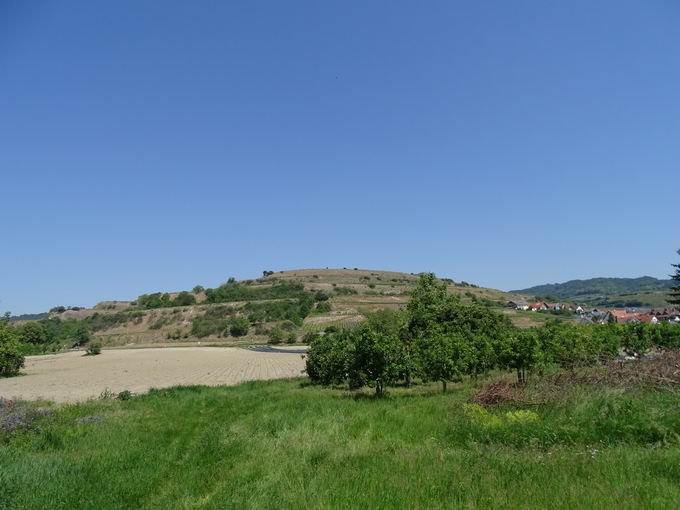 Ihringen am Kaiserstuhl