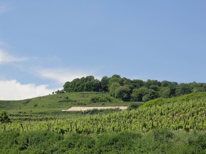 Ihringen am Kaiserstuhl