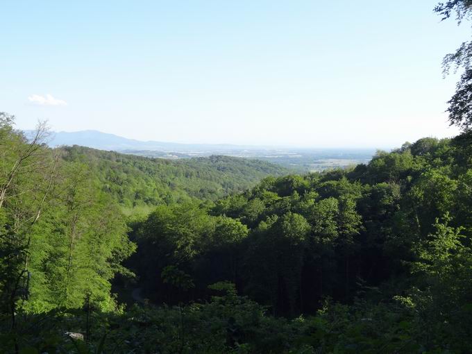 Mühletal Ihringen: Gagenhard