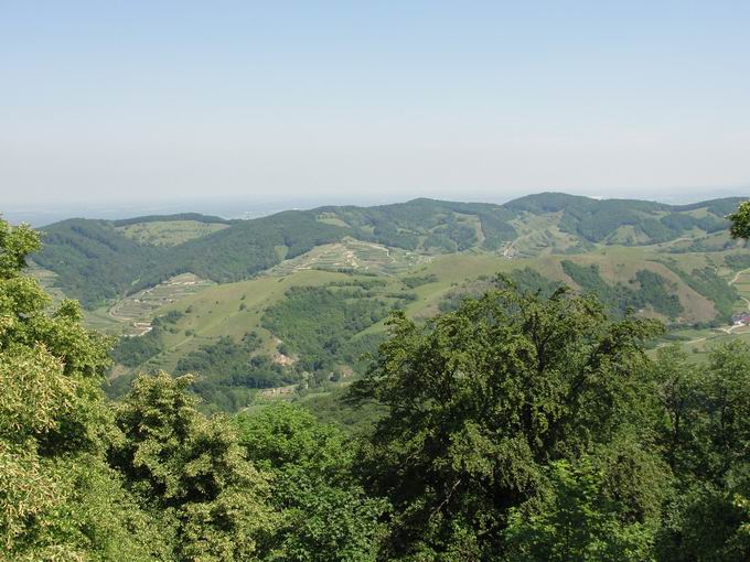 Badberg & Haselschacher Buck Kaiserstuhl