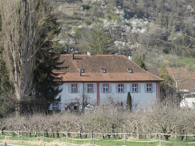 Ihringen am Kaiserstuhl