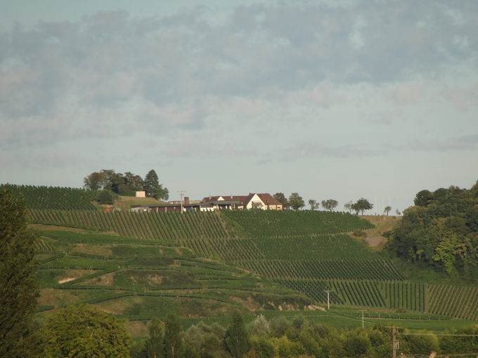 Ihringen am Kaiserstuhl