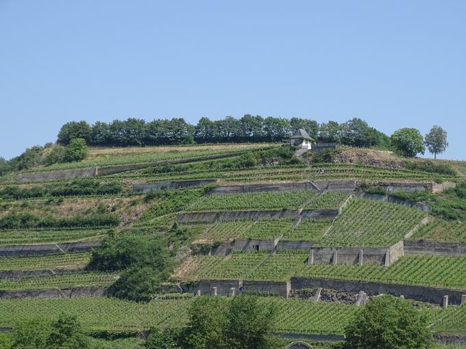 Winklerberg bei Ihringen