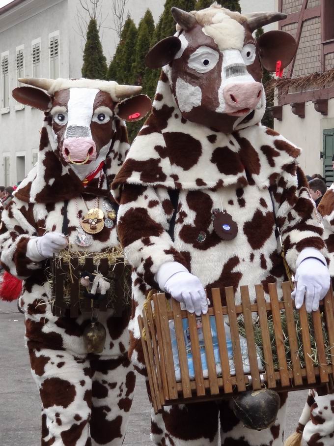 Burefasnetumzug Sulzburg 2013