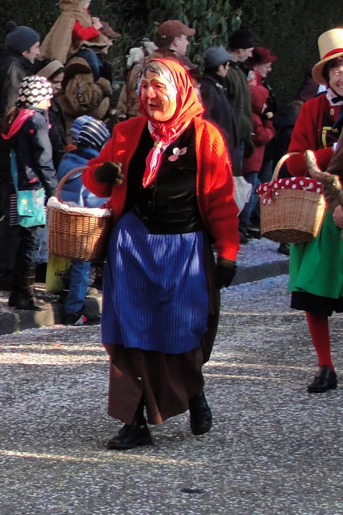 Vereinigung Schwbisch-Alemannischer Narrenznfte