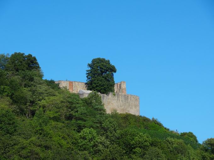 Alte Elz Hecklingen: Burg Lichteneck