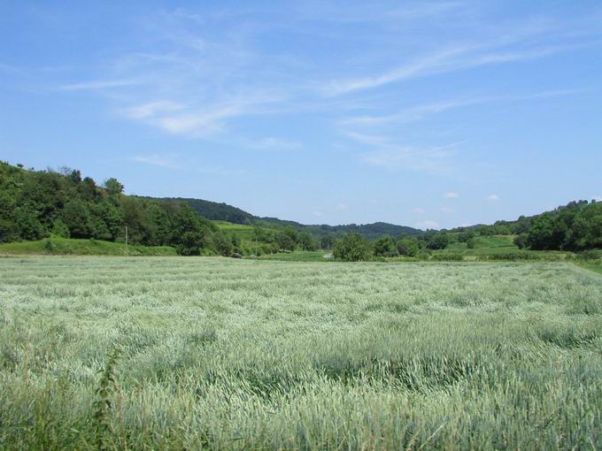 Aubachtal Hecklingen