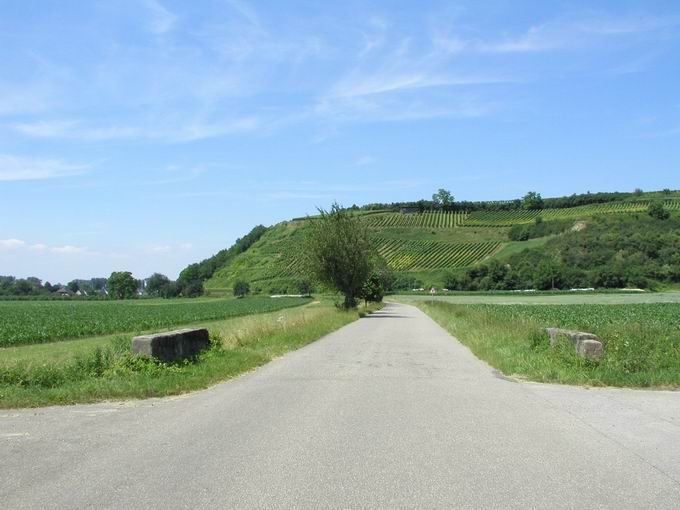 Kapellenberg Hecklingen