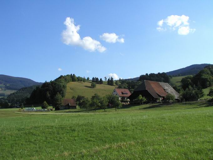 Gostbühl Dietenbach