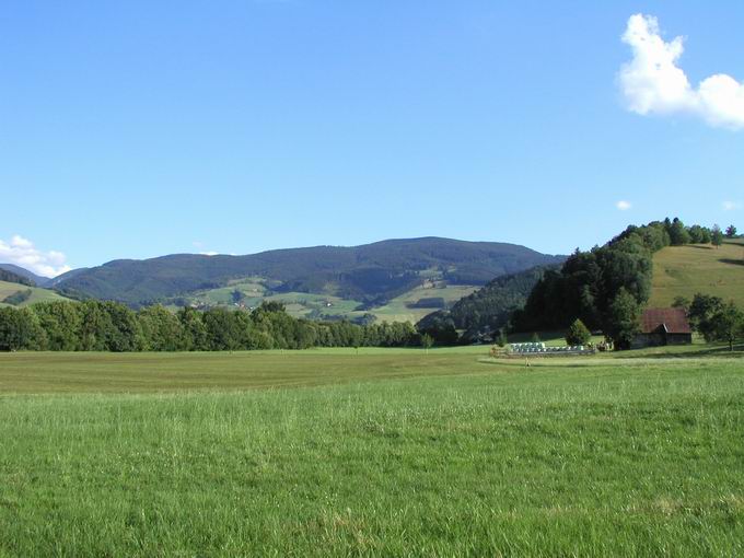 Dietenbach: Oberrieder Tal