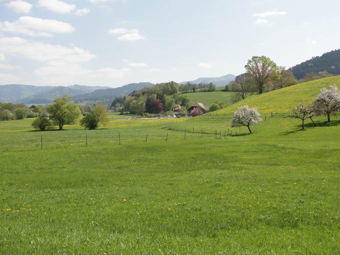 Fischbach Blick Unterneuhuser