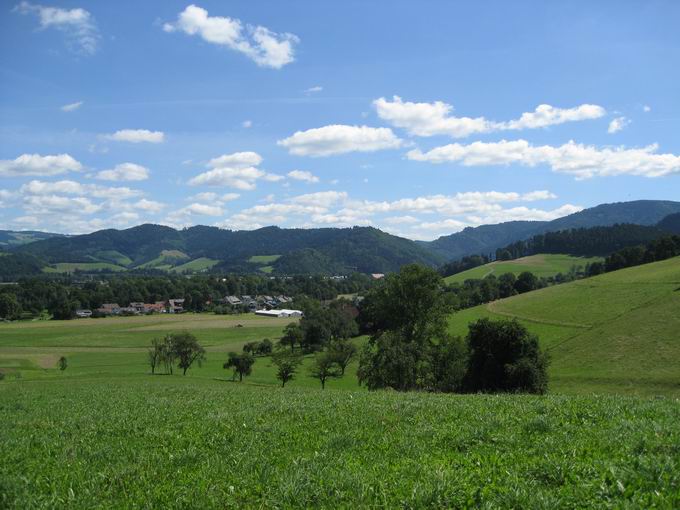 Giersberg: Blick Burg-Birkenhof