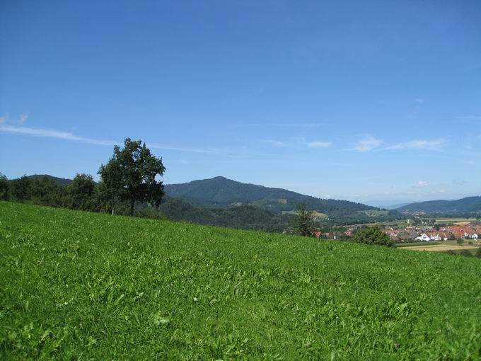 Giersberg: Blick Rehhagkopf