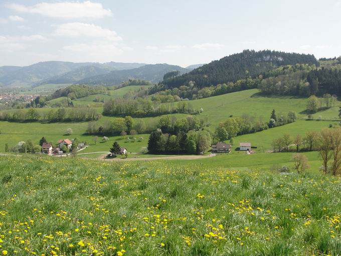 Unterneuhuser im Dreisamtal