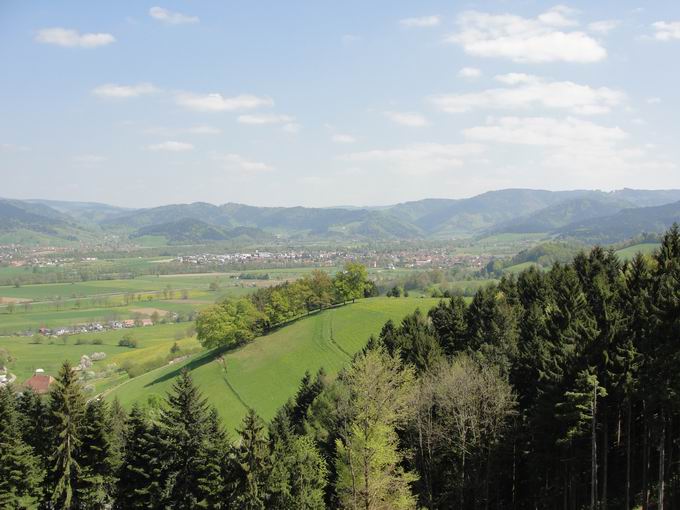 Pfeiferberg: Blick Kirchzarten