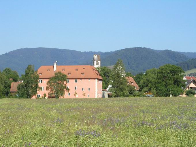 Talvogei & Galluskirche Kirchzarten