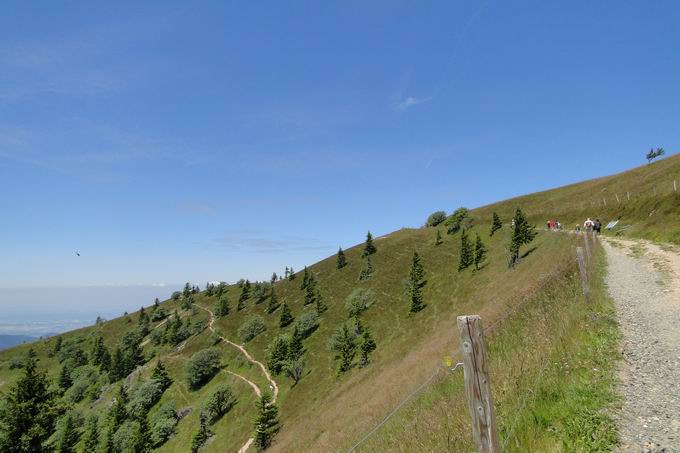 Belchenpfad Belchen Neuenweg