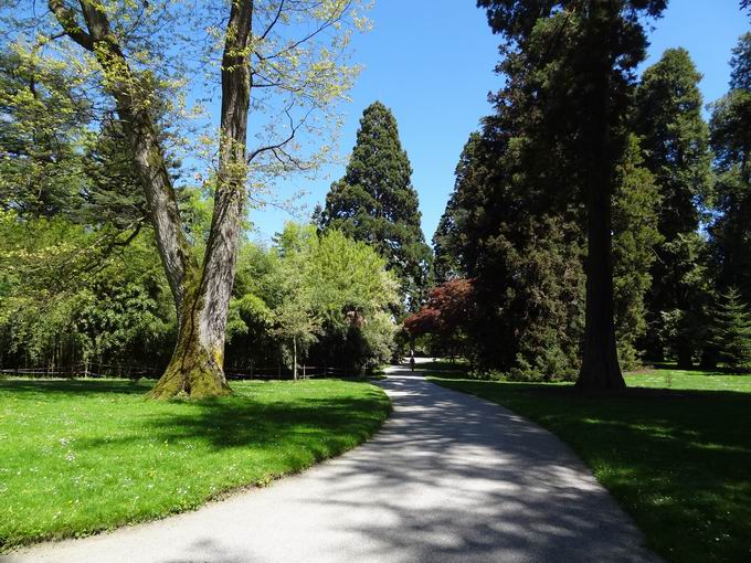 Arboretum Insel Mainau