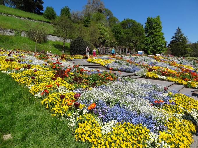 Insel Mainau