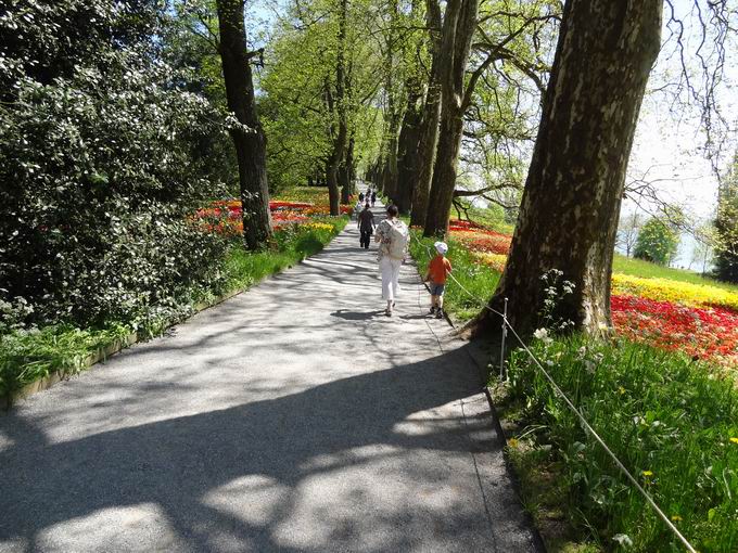 Frhlingsallee Insel Mainau