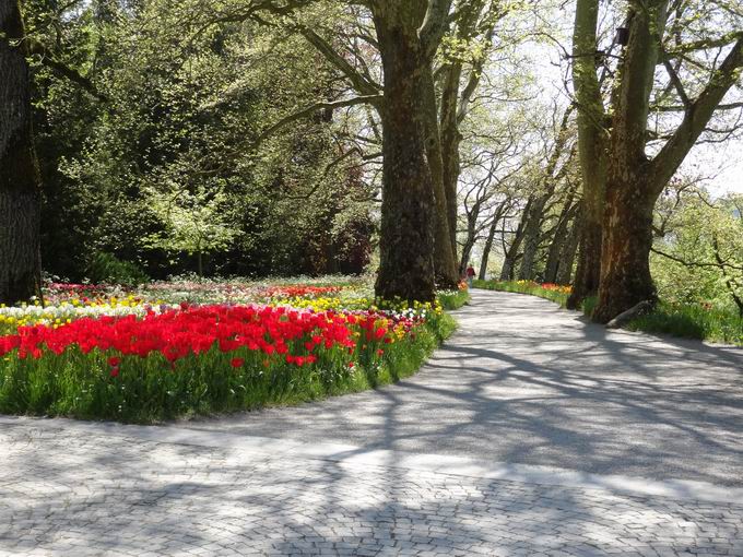 Groherzog Friedrich Terrasse: Blick Frhlingsallee