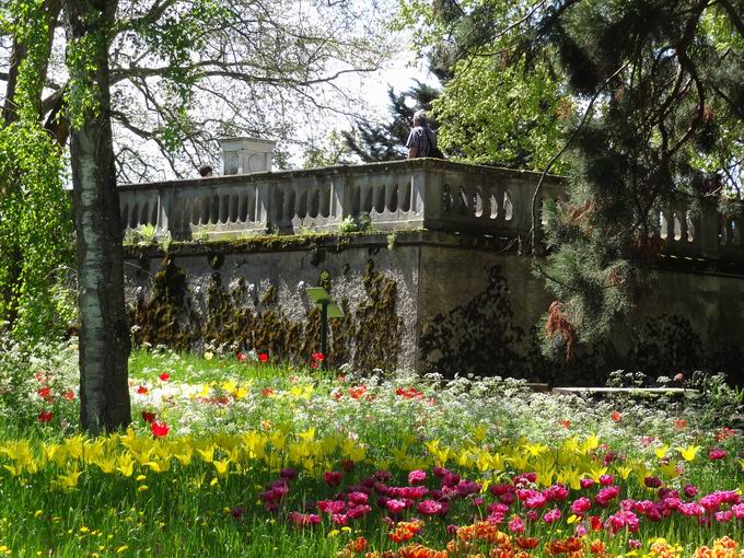 Nordansicht Historisches Wasserreservoir Mainau