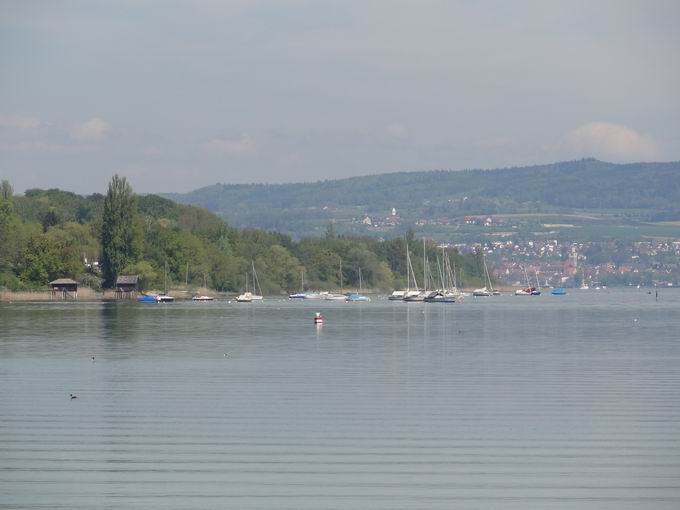 Inselbrcke Mainau: Blick Fliehorn