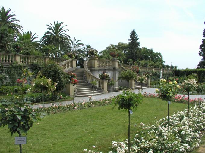 Italienischer Rosengarten