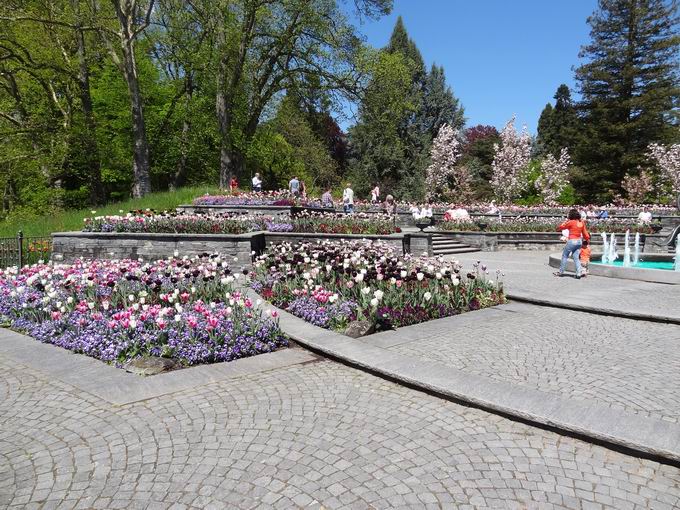 Mediterran Terrassen Insel Mainau