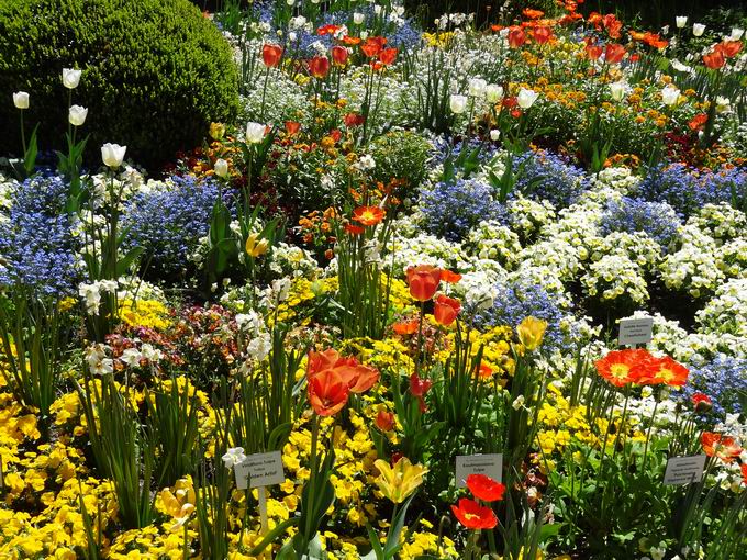 Mein Schner Garten Insel Mainau