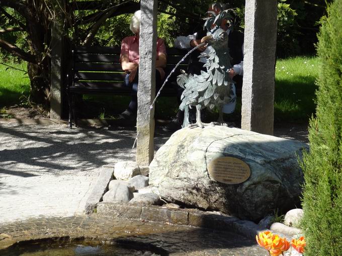 Paradiesvgel Brunnen Insel Mainau