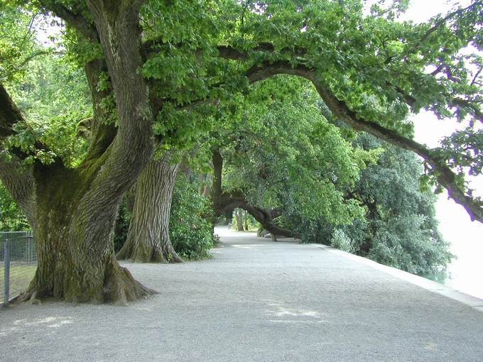 Insel Mainau