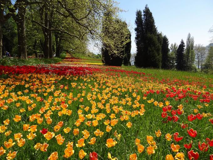 Insel Mainau