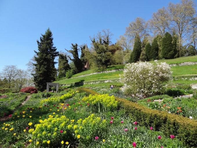 Staudengarten Insel Mainau