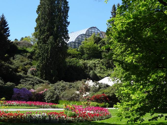 Ufergarten Mainau: Blick Palmenhaus