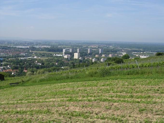 Hochhuser Dinglingen