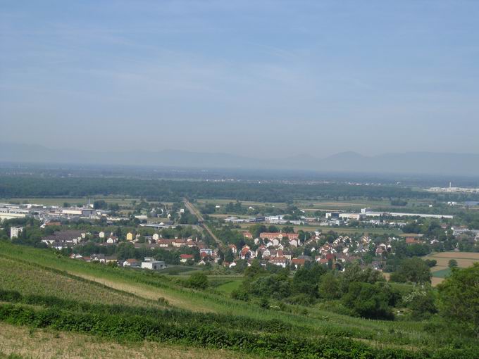 Schutterentlastungskanal Dinglingen