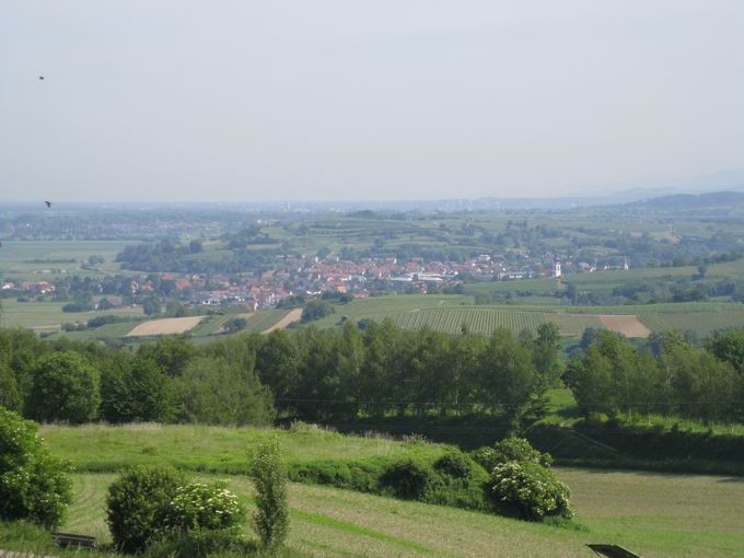 Schutterlindenberg: Blick Friesenheim