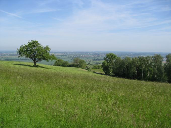 Schutterlindenberg: Blick Ortenau