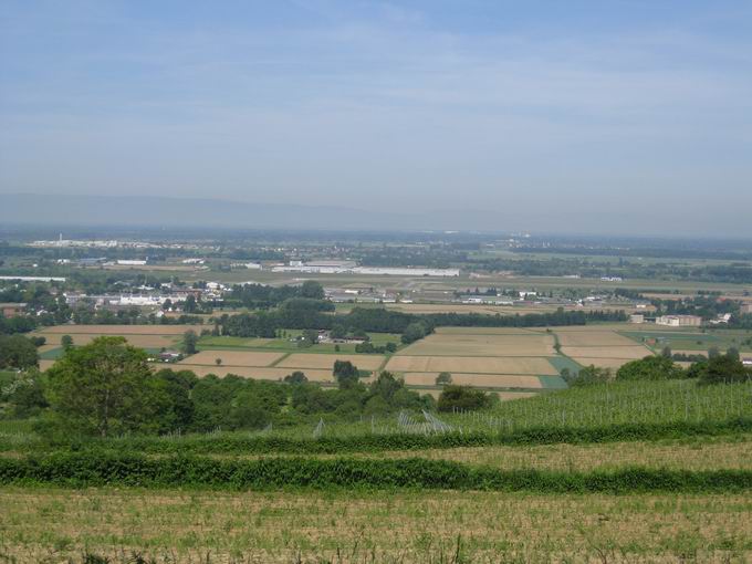 Schutterlindenberg:Blick Rheinebene