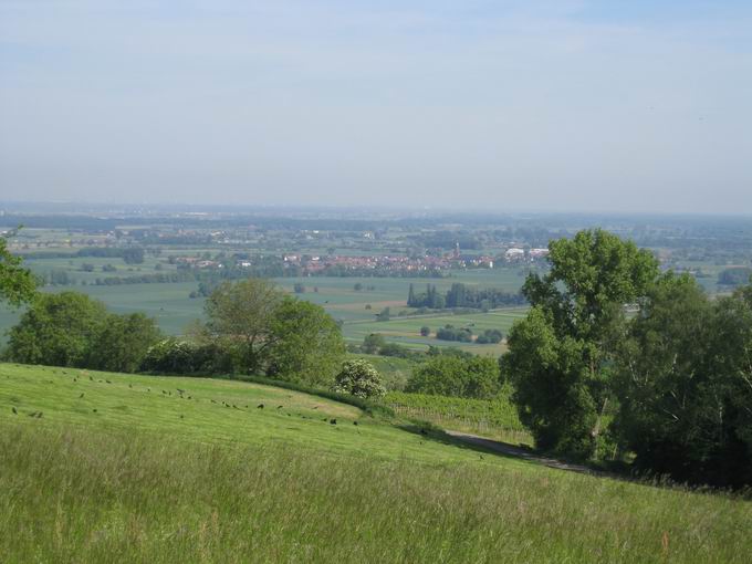 Schutterlindenberg: Blick Schuttern