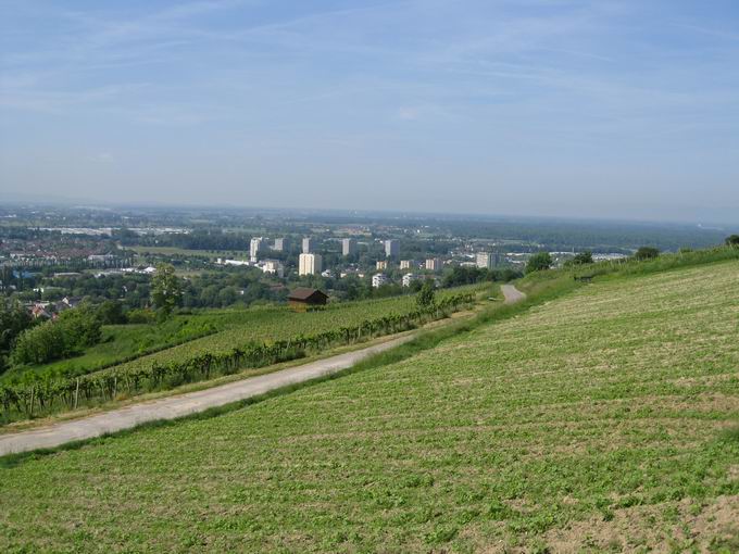 Weinbergstrae Schutterlindenberg