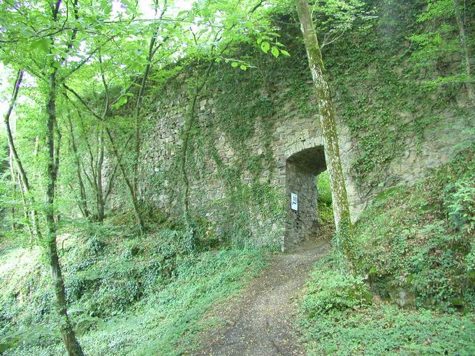 Burg Hauenstein