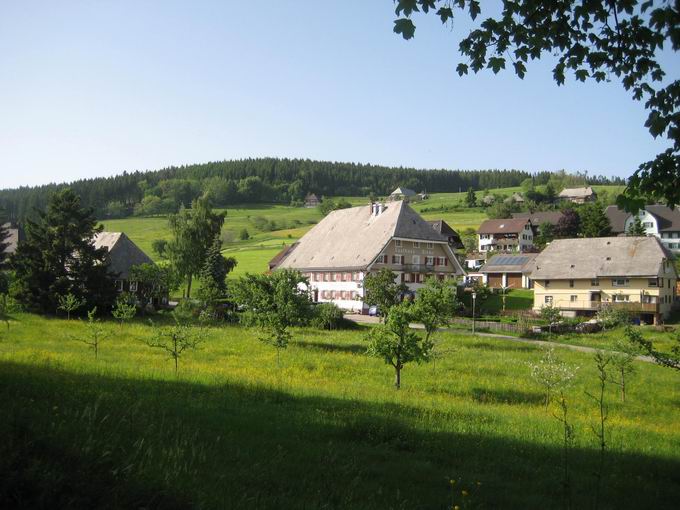 Gasthaus Blume Kappel