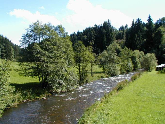 Gutachbrcke Zipfelsge: Gutach